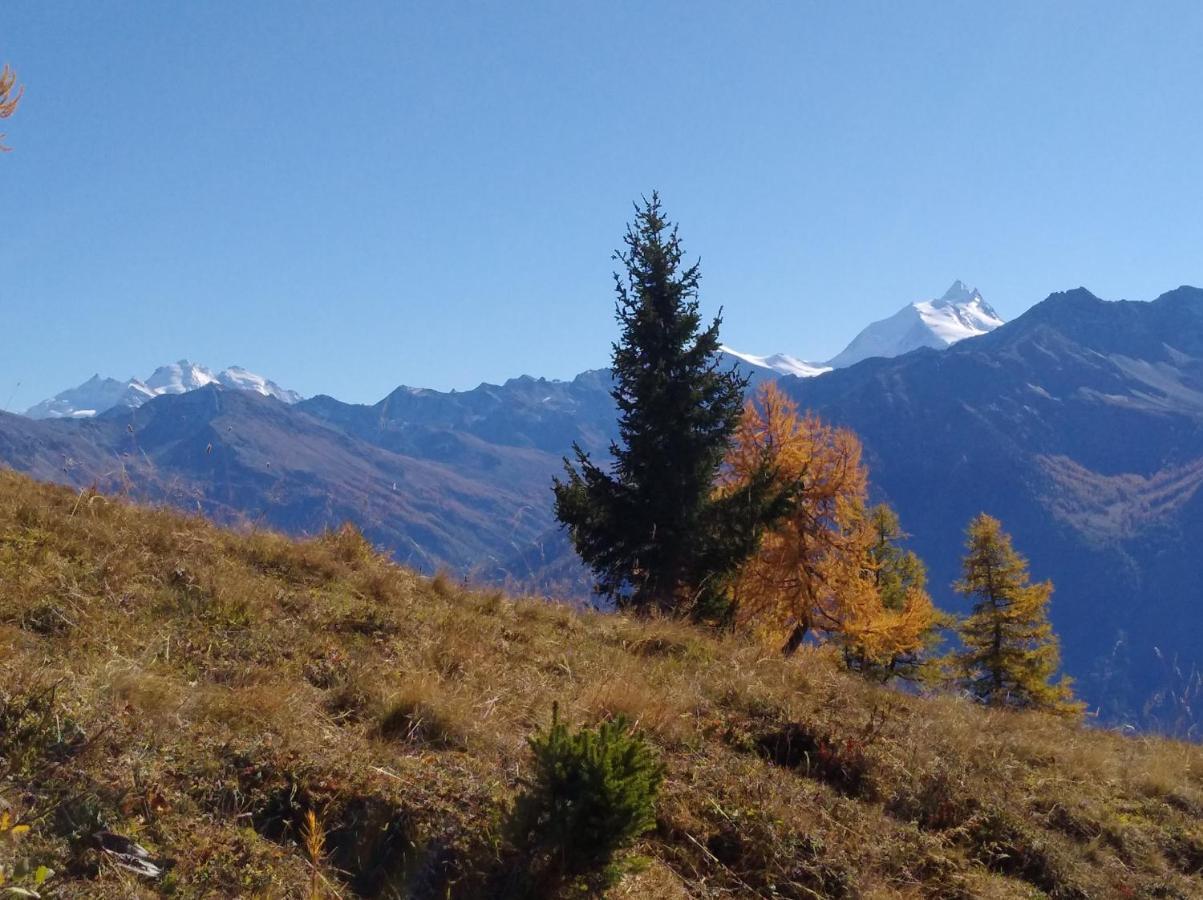 B&B Chalet Rustica Inden, Leukerbad 外观 照片