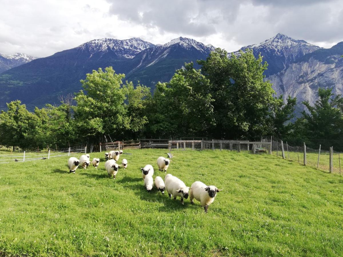 B&B Chalet Rustica Inden, Leukerbad 外观 照片